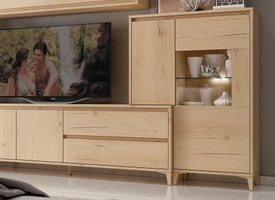 Composición de Televisión 33