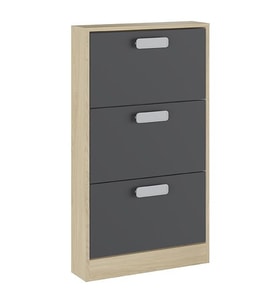Zapatero 3 Puertas