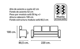 Sofá 3 Plazas Color Gris miniatura 4