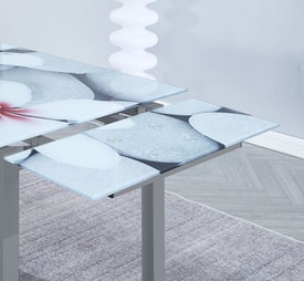 Conjunto Mesa Flores Extensible + 4 Sillas Color miniatura 4