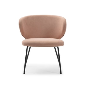 Butacabajarushrosaclaro miniatura 5